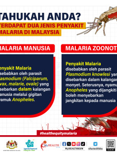 Tahukah Anda? Terdapat Dua Jenis Penyakit Malaria Di Malaysia